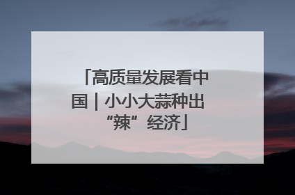 高质量发展看中国｜小小大蒜种出“辣”经济