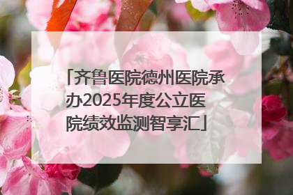 齐鲁医院德州医院承办2025年度公立医院绩效监测智享汇