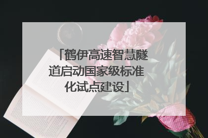 鹤伊高速智慧隧道启动国家级标准化试点建设