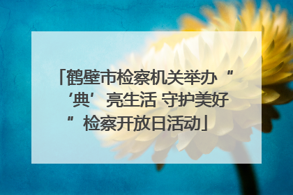 鹤壁市检察机关举办“‘典’亮生活 守护美好”检察开放日活动