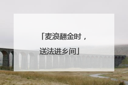 麦浪翻金时，送法进乡间