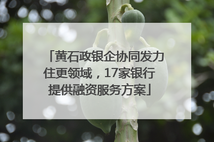 黄石政银企协同发力住更领域，17家银行提供融资服务方案