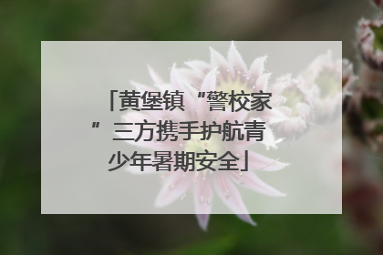 黄堡镇“警校家”三方携手护航青少年暑期安全