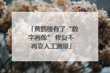黄鹤楼有了“数字画像” 修复不再靠人工测量