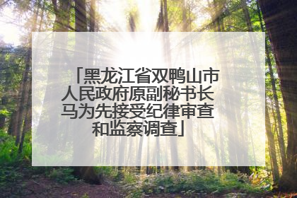 黑龙江省双鸭山市人民政府原副秘书长马为先接受纪律审查和监察调查