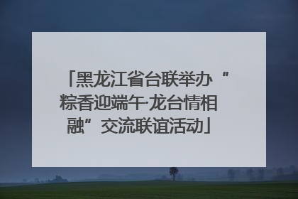 黑龙江省台联举办“粽香迎端午·龙台情相融”交流联谊活动