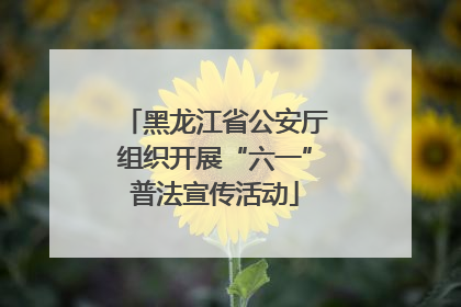 黑龙江省公安厅组织开展“六一”普法宣传活动