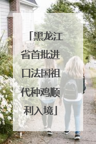 黑龙江省首批进口法国祖代种鸡顺利入境