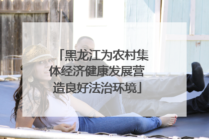 黑龙江为农村集体经济健康发展营造良好法治环境