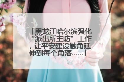 黑龙江哈尔滨强化“派出所主防”工作，让平安建设触角延伸到每个角落……
