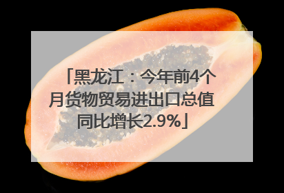 黑龙江：今年前4个月货物贸易进出口总值同比增长2.9%