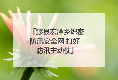 黟县宏潭乡织密防汛安全网 打好防汛主动仗