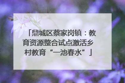 鼎城区蔡家岗镇：教育资源整合试点激活乡村教育“一池春水”