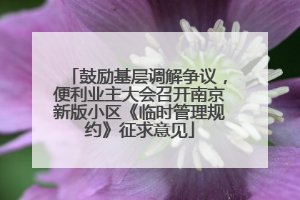 鼓励基层调解争议，便利业主大会召开南京新版小区《临时管理规约》征求意见
