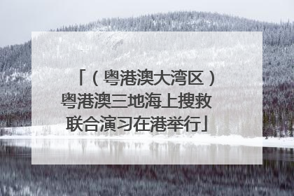 （粤港澳大湾区）粤港澳三地海上搜救联合演习在港举行