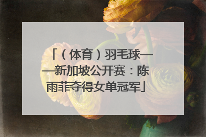 （体育）羽毛球——新加坡公开赛：陈雨菲夺得女单冠军