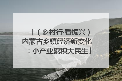 （乡村行·看振兴）内蒙古乡镇经济新变化：小产业累积大民生