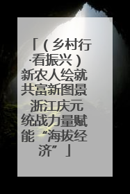 (乡村行·看振兴)新农人绘就共富新图景 浙江庆元统战力量赋能“海拔经济”