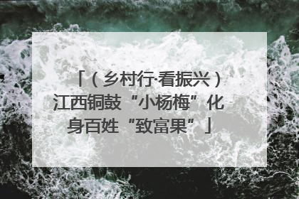 （乡村行·看振兴）江西铜鼓“小杨梅”化身百姓“致富果”