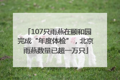 107只雨燕在颐和园完成“年度体检”，北京雨燕数量已超一万只