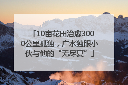 10亩花田治愈3000公里孤独，广水独眼小伙与他的“无尽夏”