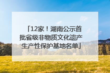 12家！湖南公示首批省级非物质文化遗产生产性保护基地名单