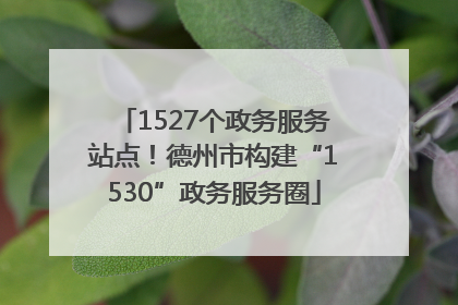 1527个政务服务站点！德州市构建“1530”政务服务圈