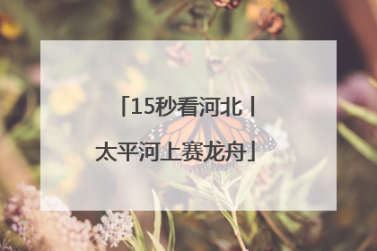 15秒看河北丨太平河上赛龙舟