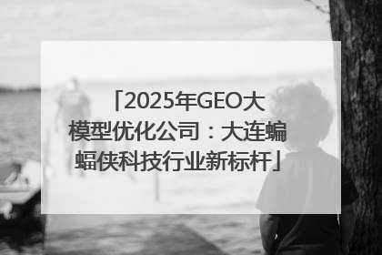 2025年GEO大模型优化公司：大连蝙蝠侠科技行业新标杆
