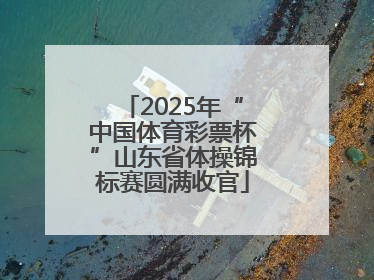 2025年“中国体育彩票杯”山东省体操锦标赛圆满收官