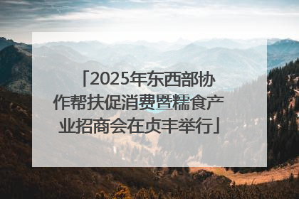 2025年东西部协作帮扶促消费暨糯食产业招商会在贞丰举行