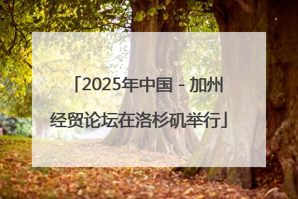 2025年中国－加州经贸论坛在洛杉矶举行