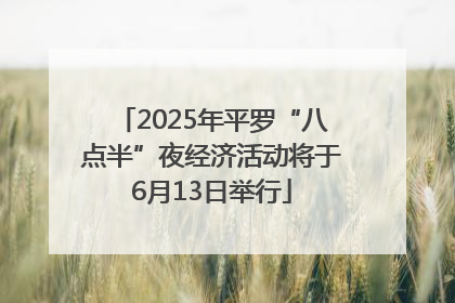 2025年平罗“八点半”夜经济活动将于6月13日举行