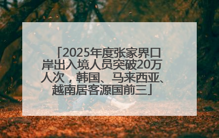 2025年度张家界口岸出入境人员突破20万人次，韩国、马来西亚、越南居客源国前三