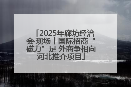 2025年廊坊经洽会·现场丨国际招商“磁力”足 外商争相向河北推介项目