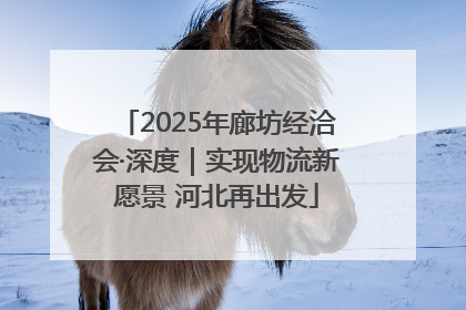 2025年廊坊经洽会·深度｜实现物流新愿景 河北再出发