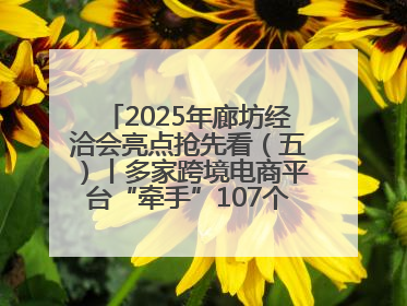 2025年廊坊经洽会亮点抢先看（五）丨多家跨境电商平台“牵手”107个特色产业集群