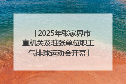 2025年张家界市直机关及驻张单位职工气排球运动会开幕