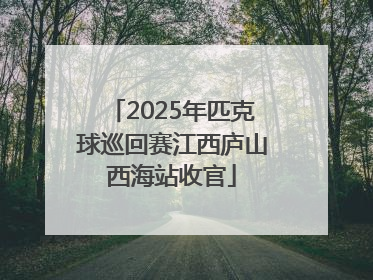 2025年匹克球巡回赛江西庐山西海站收官