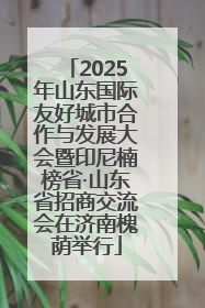 2025年山东国际友好城市合作与发展大会暨印尼楠榜省·山东省招商交流会在济南槐荫举行