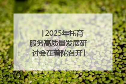 2025年托育服务高质量发展研讨会在普陀召开
