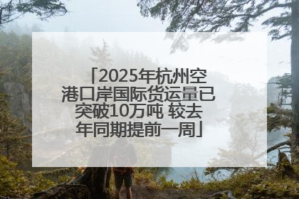 2025年杭州空港口岸国际货运量已突破10万吨 较去年同期提前一周