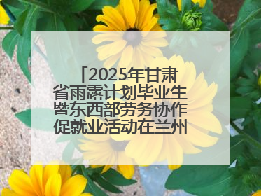 2025年甘肃省雨露计划毕业生暨东西部劳务协作促就业活动在兰州新区举办