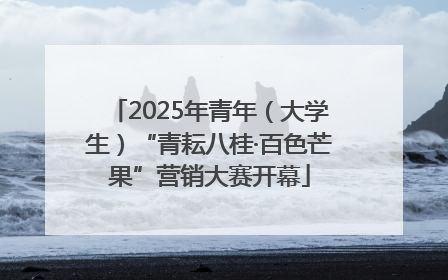 2025年青年（大学生）“青耘八桂·百色芒果”营销大赛开幕