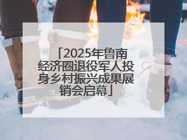 2025年鲁南经济圈退役军人投身乡村振兴成果展销会启幕