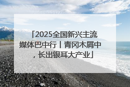 2025全国新兴主流媒体巴中行丨青冈木屑中，长出银耳大产业