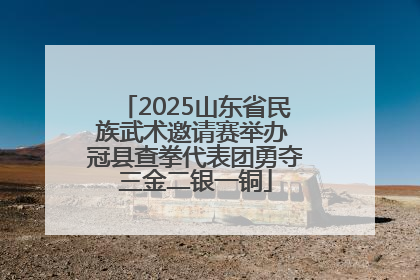 2025山东省民族武术邀请赛举办 冠县查拳代表团勇夺三金二银一铜