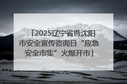 2025辽宁省暨沈阳市安全宣传咨询日“应急安全市集”火爆开市