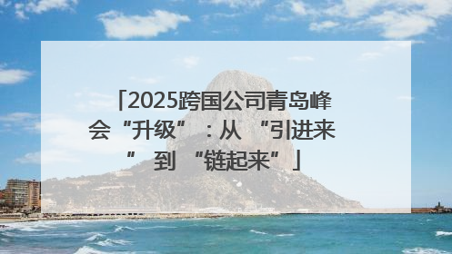 2025跨国公司青岛峰会“升级”：从 “引进来” 到 “链起来”