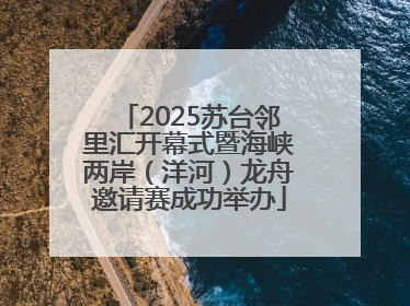 2025苏台邻里汇开幕式暨海峡两岸（洋河）龙舟邀请赛成功举办